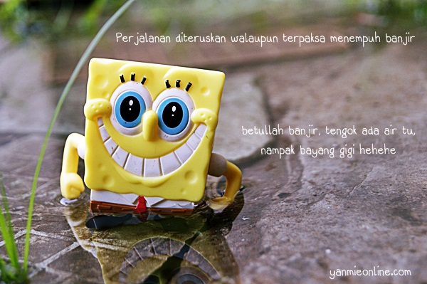 spongebob galaxy s2