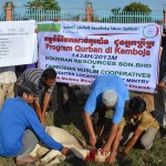 pelaksanaan ibadah qurban 2013 di kemboja - equrban.com