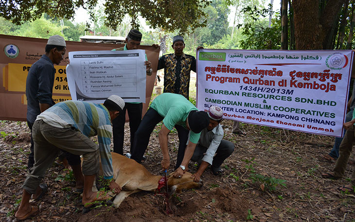 Pelaksanaan ibadah qurban 2013 di kemboja – equrban.com