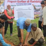 pelaksanaan ibadah qurban 2013 di kemboja - equrban.com
