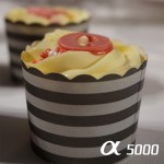 Sony alpha 5000 mode micro