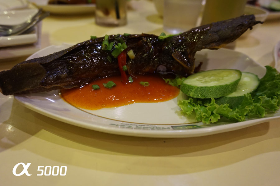 Gambar hidangan ikan keli menggunakan alpha 5000