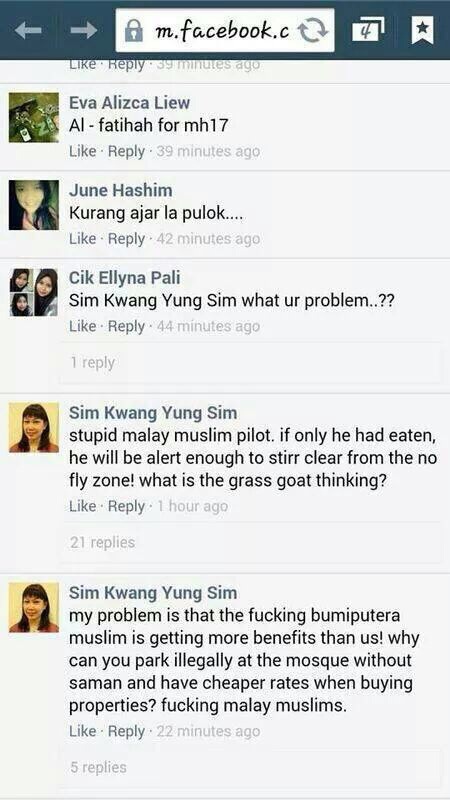 Sim Kwang Yung Sim menghina MH17