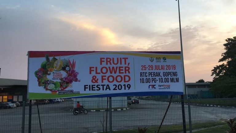 14 sebab kena datang ke FAMAFest 2019 di RTC Gopeng ...