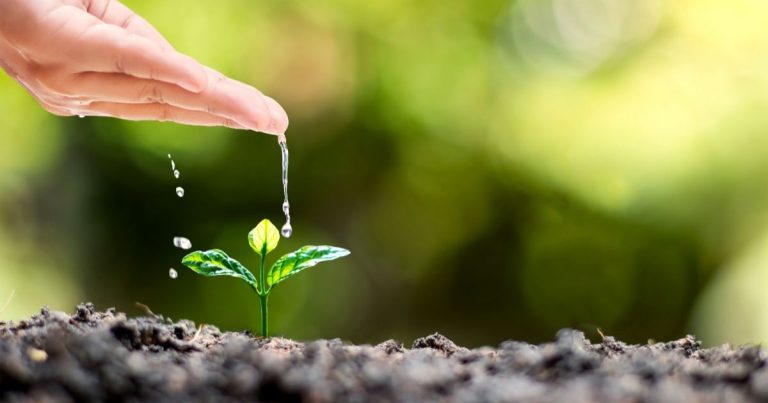 Hand watering a tiny seedling sprouting from soil, symbolizing growth and nurturing.