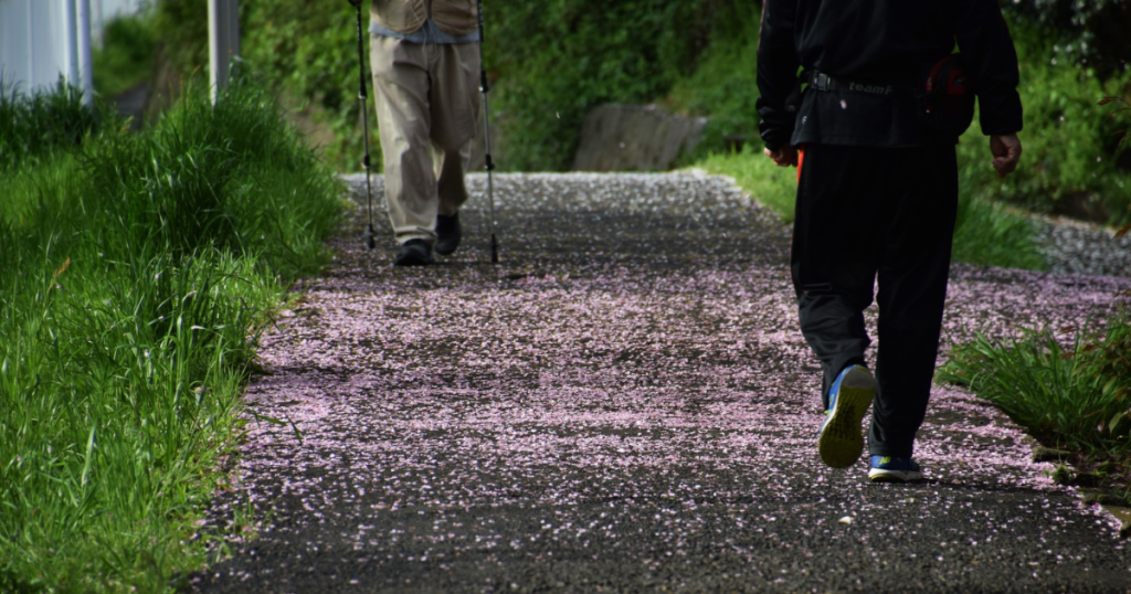 Two people walk away on a pebble path sprinkled with pink petals, one using trekking poles, surrounded by green grass and shrubs.